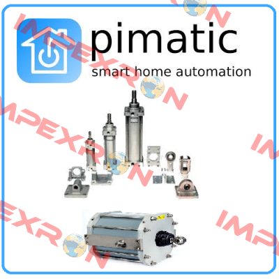 P2904T-250/40-150-504189 ( OEM ) Pimatic