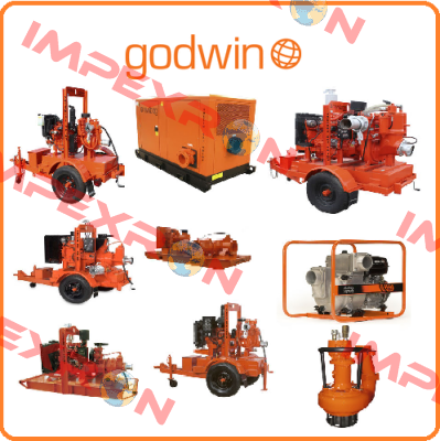 3810134112A Godwin Pumps