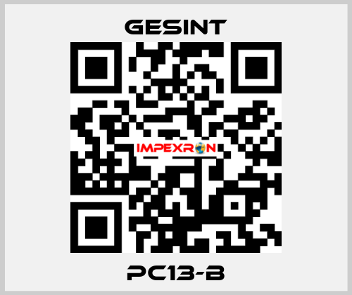PC13-B Gesint