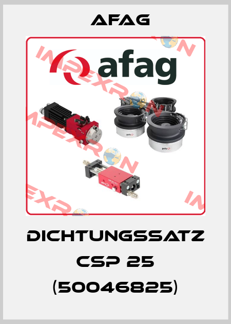Dichtungssatz CSP 25 (50046825) Afag