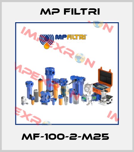 MF-100-2-M25  MP Filtri