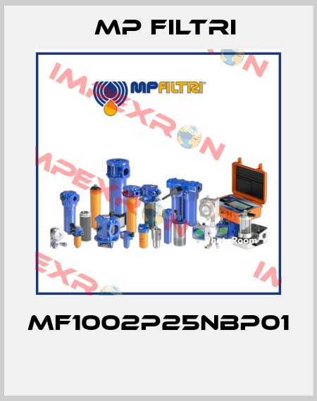 MF1002P25NBP01  MP Filtri