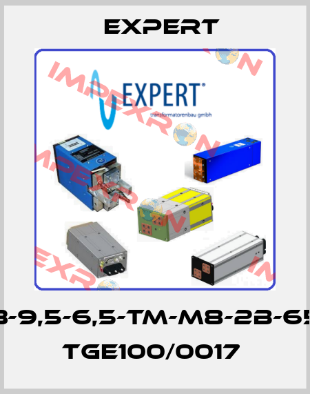 MF3-9,5-6,5-TM-M8-2B-650V TGE100/0017  Expert