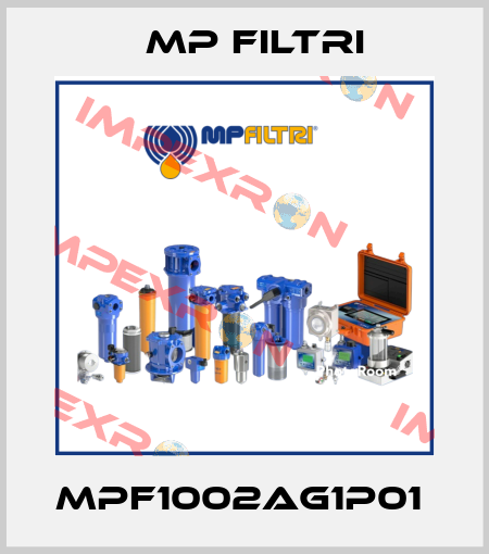 MPF1002AG1P01  MP Filtri