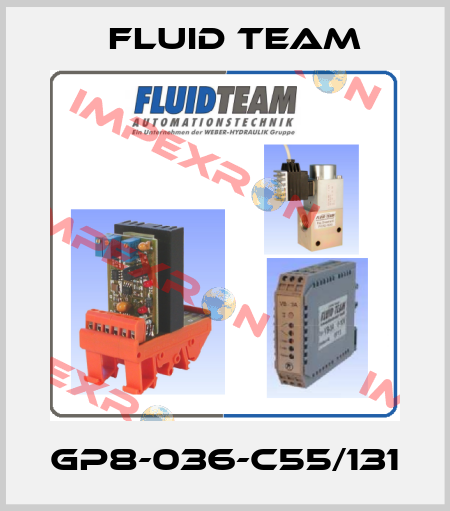 GP8-036-C55/131 Fluid Team