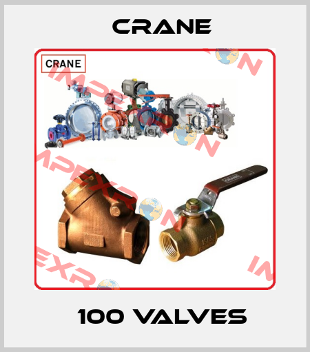 Ǿ 100 VALVES  Crane