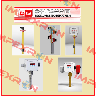 G1/2"-T-L100-MS-2M12-4-20mA Goldammer