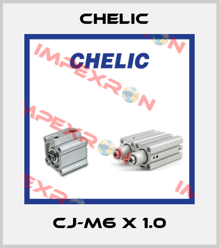 CJ-M6 X 1.0 Chelic