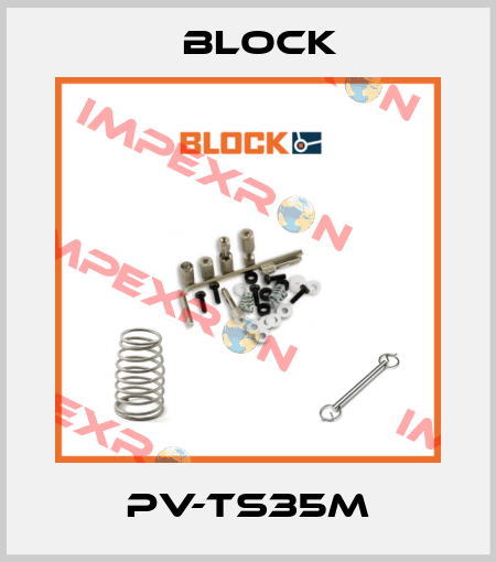 PV-TS35M Block