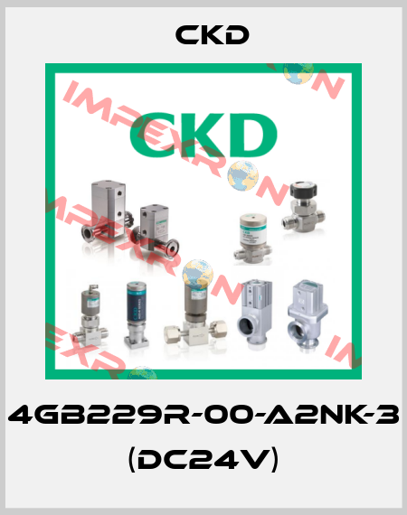4GB229R-00-A2NK-3 (DC24V) Ckd