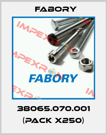 38065.070.001 (pack x250) Fabory