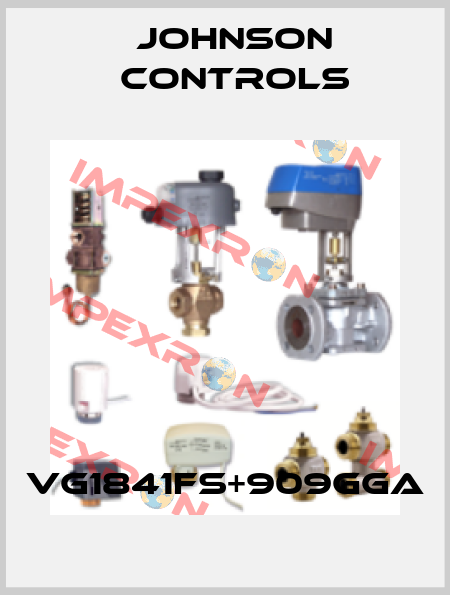 VG1841FS+909GGA Johnson Controls