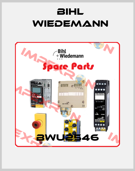 BWU2546 Bihl Wiedemann