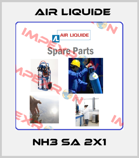 NH3 SA 2X1 Air Liquide