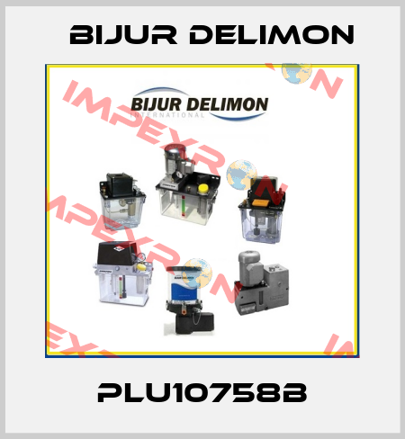 PLU10758B Bijur Delimon