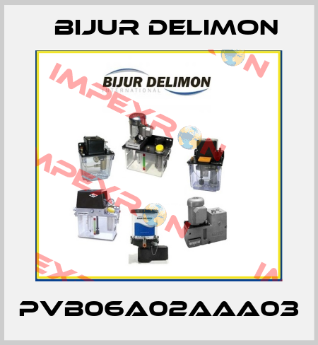 PVB06A02AAA03 Bijur Delimon