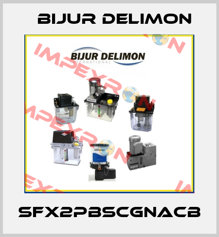 SFX2PBSCGNACB Bijur Delimon