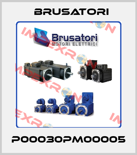 P00030PM00005 Brusatori