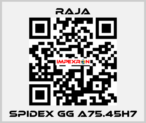 SPIDEX GG A75.45H7 Raja
