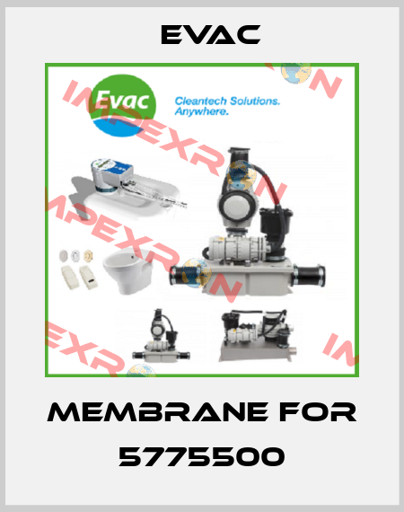 Membrane for 5775500 Evac