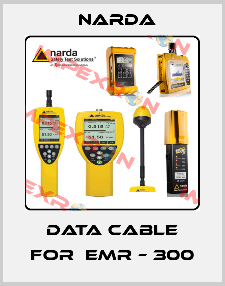 data cable for  EMR – 300 Narda