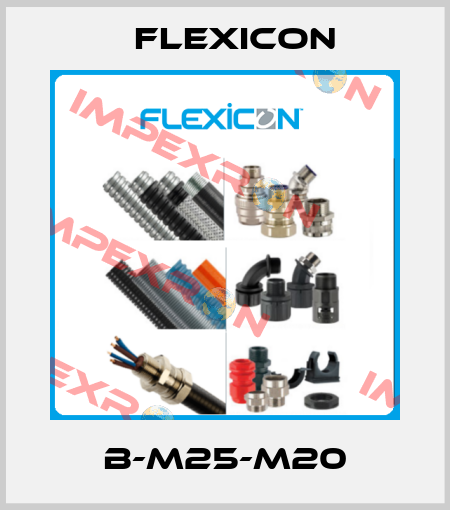B-M25-M20 Flexicon