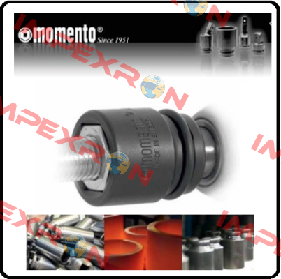 H120-T25 Momento