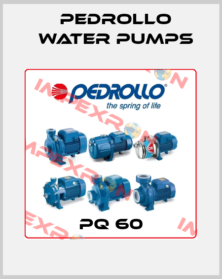PQ 60 Pedrollo Water Pumps