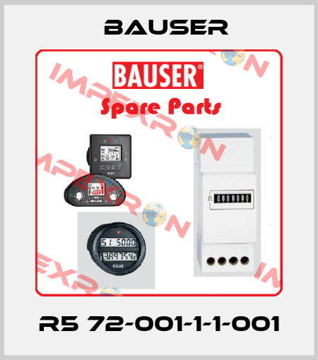 R5 72-001-1-1-001 Bauser