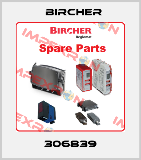 306839 Bircher
