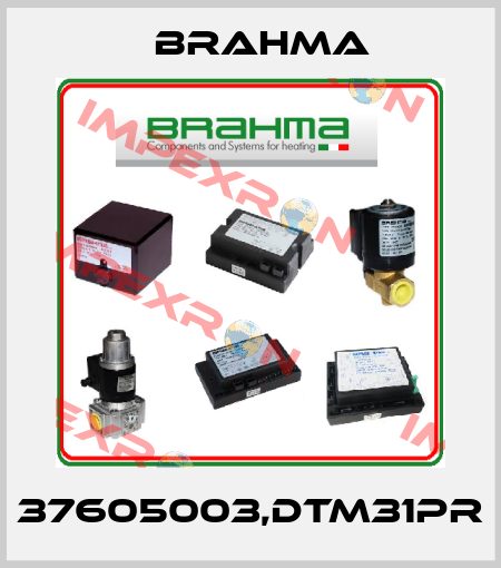 37605003,DTM31PR Brahma