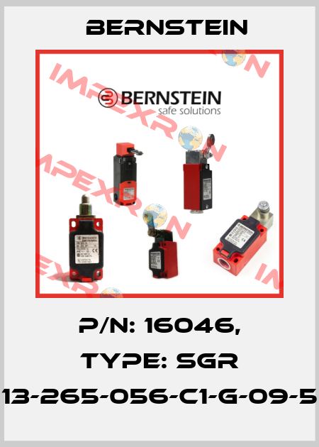 P/N: 16046, Type: SGR 13-265-056-C1-G-09-5 Bernstein