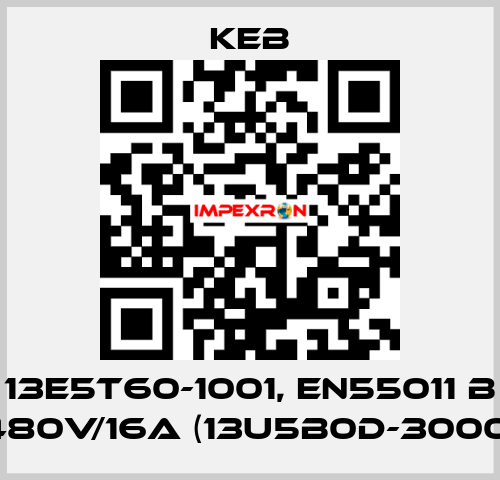 13E5T60-1001, EN55011 B 480V/16A (13U5B0D-3000) KEB