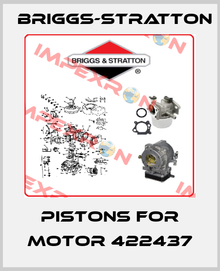 Pistons for motor 422437 Briggs-Stratton