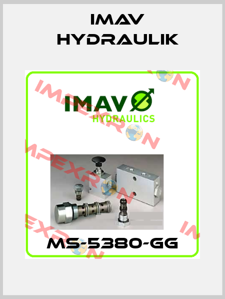 MS-5380-GG IMAV Hydraulik