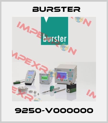 9250-V000000 Burster