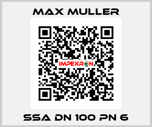 SSA DN 100 PN 6 MAX MULLER