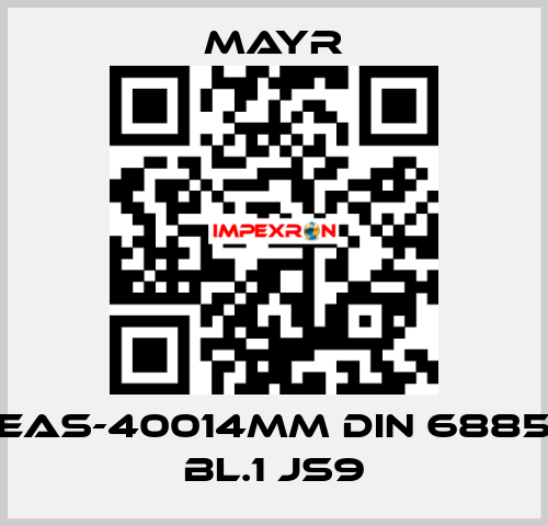 EAS-40014MM DIN 6885 BL.1 JS9 Mayr