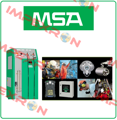 10078012 Msa