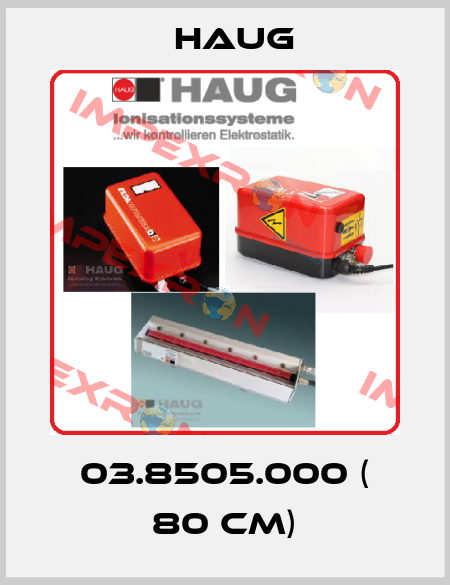 03.8505.000 ( 80 cm) Haug