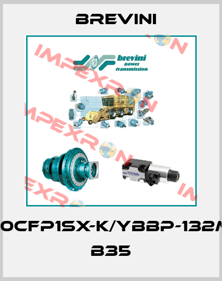 H1030CFP1SX-K/YBBP-132M2-6 B35 Brevini