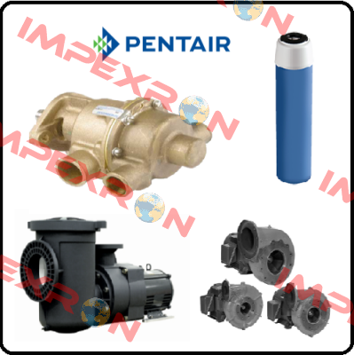 80H100/120 A/R for pos13 Pentek (Pentair)