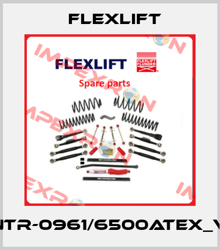 ANTR-0961/6500ATEX_VM Flexlift