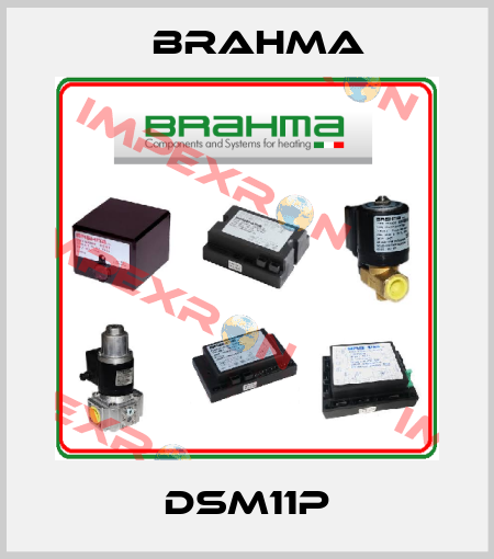 DSM11P Brahma