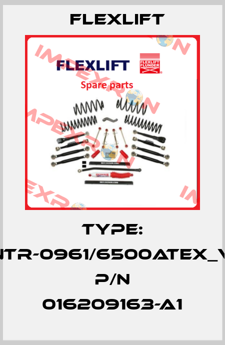 Type: ANTR-0961/6500ATEX_VM  P/N 016209163-A1 Flexlift