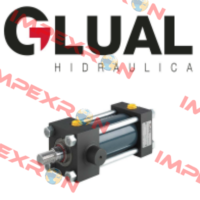 KR 50/28x400-D308-B1-A-1-10 Glual Hydraulics