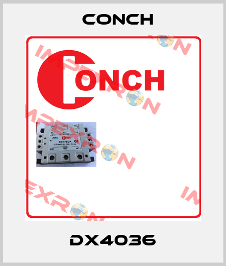 DX4036 Conch