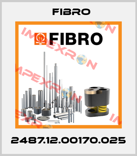 2487.12.00170.025 Fibro