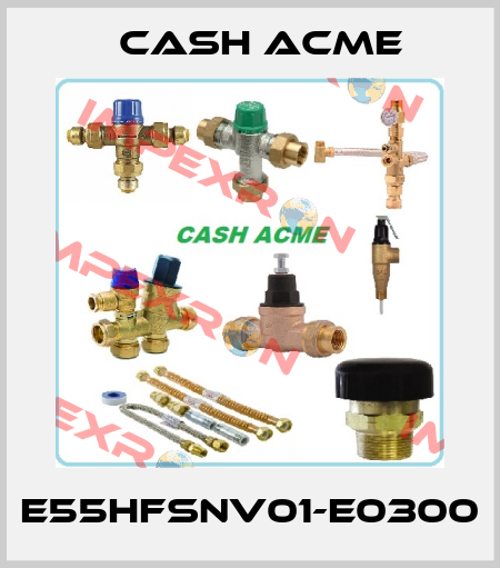 E55HFSNV01-E0300 Cash Acme