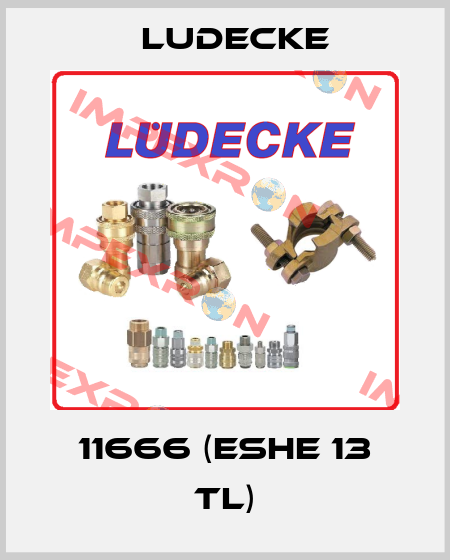 11666 (ESHE 13 TL) Ludecke